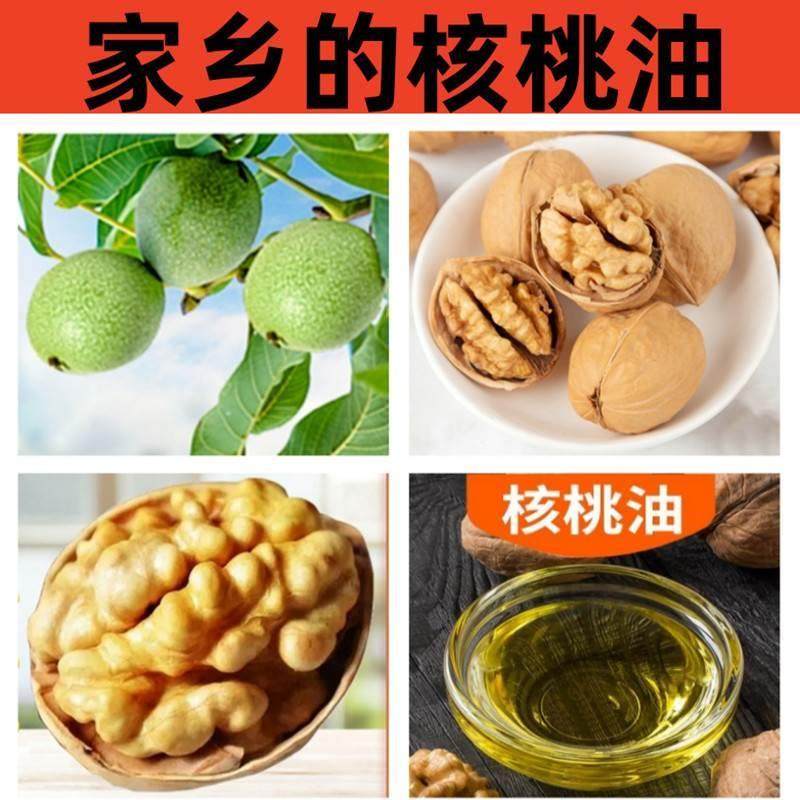 纯正核桃油500毫升食用油农家冷榨油小瓶 送儿童婴儿宝宝辅食食谱,淘宝优惠券,粉丝福利购,淘宝优惠卷