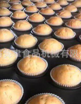 全自动糖珠点缀巧克力碎片水果切片椰蓉撒粉纸杯蛋糕生产线