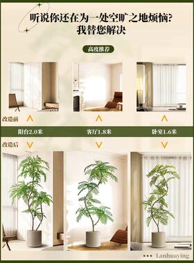 摆件假大型仿生落地仿真绿楹客厅蓝花植轻奢盆栽室内树植物装饰品