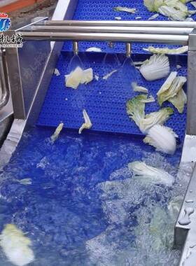 果蔬涡流清洗机菜叶类喷淋洗菜机大批量果蔬净菜加工设备