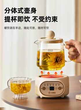 小南瓜健康杯办公室女士全玻璃电炖杯煮花茶沸水迷你分割小健康壶