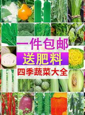 蔬菜种子阳台庭院四季播盆栽辣椒香菜番茄黄瓜洋葱香甜瓜种籽大全