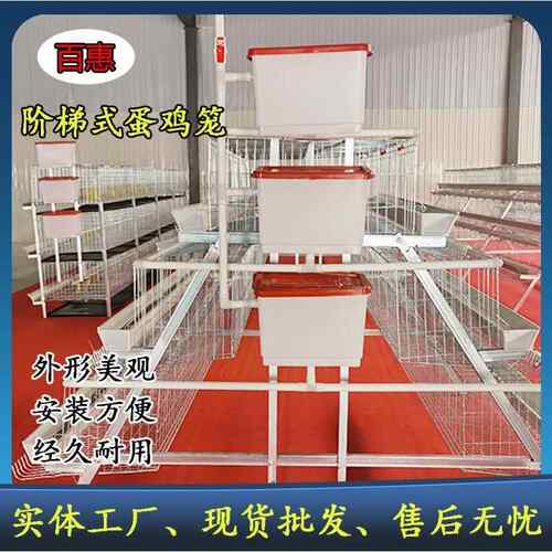 养殖场用三层四门白槽蛋鸡笼设备热镀锌多层阶梯式笼养鸡设备 - 图1