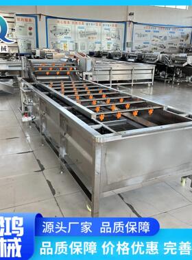 水工果蔬菜清加成套设备 秋葵茄洗子气泡清洗MAGA-102机 用蘑菇清