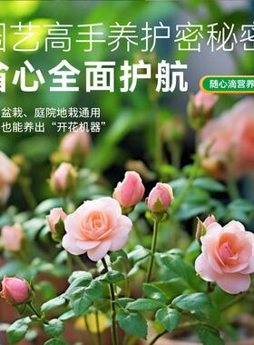 营养液随心滴盆栽绿植自动浇花神器滴灌植物营养液浇花神器花肥料