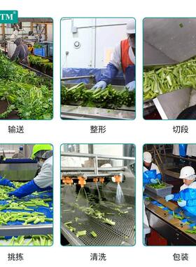 芹菜净菜加工流水线 大型涡流洗菜机 全自动切菜机预制菜加工设备