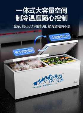 冰柜商用家用卧式冰柜大容量冷冻冷藏两用双温大容量冷冻柜大冰柜