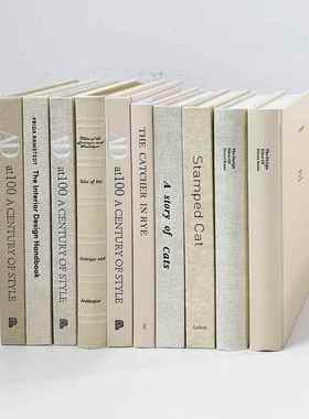 现代简约米白色装饰真书样板间样品屋展示中心客厅书柜饰品彷真书