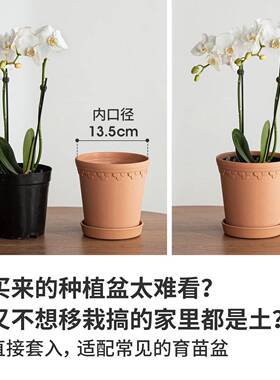 霜山花盆秸秆复古阳台花卉种植盆环境友好蝴蝶兰花盆带底托盆栽