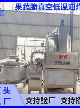 瓠子脆真空低温油炸机VF果干脆低温真空油炸机果蔬真空低温油炸锅