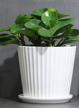 简约花盆陶瓷特价清仓大号中号带托盘个性家用绿萝吊兰多肉小花盆