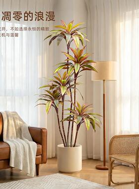 仿真假植物落地盆栽朱蕉高级感室内客厅阳台逼真仿生绿植装饰摆件