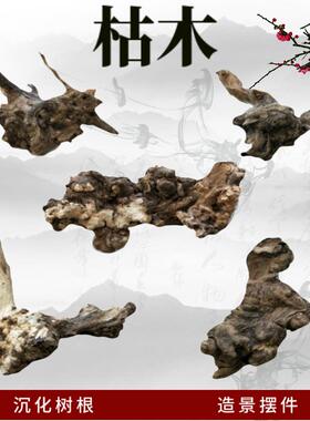 崖柏根雕摆件底座禅意树根实木头造景枯木片装饰文玩创意杯垫工艺