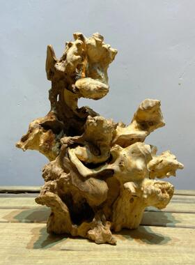 天然枯树根风化木根雕摆木件爬宠景木沙造漠缸装饰守宫晒背台RNX