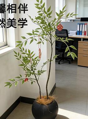 高级感仿真南天竹绿植高端轻奢室内大型落地盆栽客厅装饰摆件造景