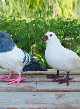 彷真鸽子和平鸽摆件假鸽子模型婚庆装饰用品动物模型鸟类标本道具