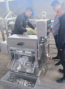 志强定制加工带鱼鱼鲜切段机 烟台五香酥 鱼头加工设志强备刀切段