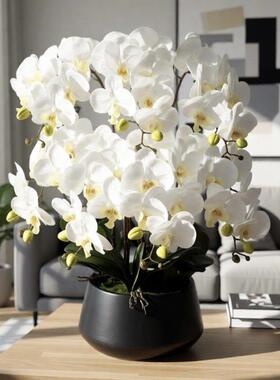蝴蝶兰仿花摆件陶瓷客厅兰1115花装饰花白色植物室花代卉现真轻奢