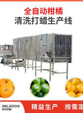脐橙分级选果机柑橘清洗风干加工流水线设备水果清洗打蜡生产线