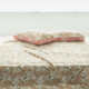 CASTLE GARDEN double layer yarn Xinjiang cotton bedding kit pillowcase/quilt cover/bed sheet/bed cover single-fit Nantian