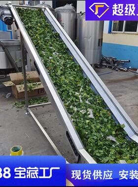 预制菜清洗机全自动喷淋桑芽菜漂洗设备传送式山野菜清洗加工线