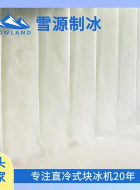 雪源snowland商用大型制冰机25吨小龙虾保鲜冰块机直冷式块冰机1