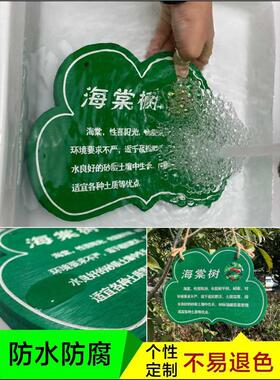 ZQ植树节树木挂牌花木介绍牌植物品名吊牌幼儿园认养防腐标识牌