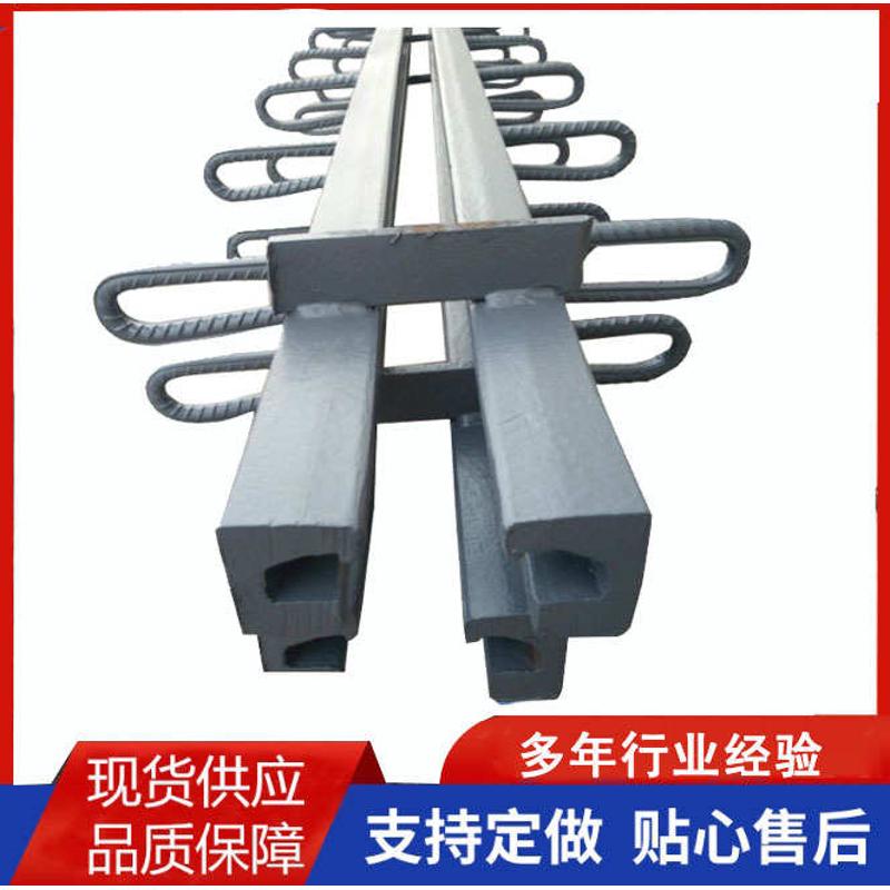 厂家伸缩缝 公路桥梁伸缩缝 C40伸缩缝模数式伸缩缝 异型钢桥梁 - 图2