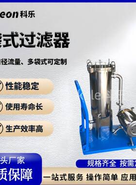 不锈钢袋式过滤器厂家供应2号袋式过滤器304不锈钢材质DN50口径