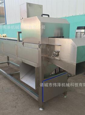 鲜食冻玉米切头去尾机双排切割机果蔬切段剥皮真空包装成套设备