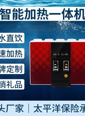 会销礼品加热一体机净水器家用农村厨房饮水机五级家用净水器