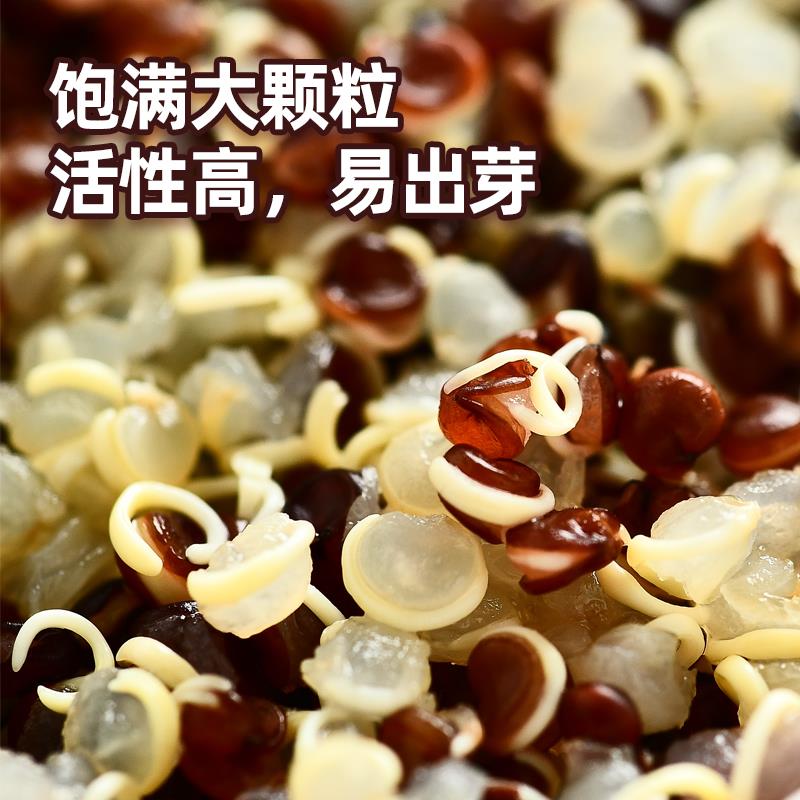 玻利维亚进口三色藜麦750g罐装黎麦杂粮糙米饭健身礼品藜米旗舰店