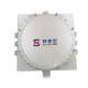 Explosion-proof power distribution box complete set of stainless steel power supply instrument lighting control box explosion-proof distribution box control box