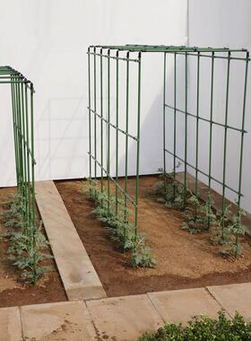 黄瓜架攀爬种菜架子豆角爬藤架庭院植物支架葡萄户外花架阳台