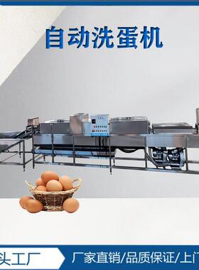 122鸡蛋不清洗设 备现货鸡蛋清洗风干消毒机 鹌鹑洗蛋干净破蛋流