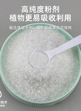强力快速生根粉植物通用绿植养花卉多菌灵肥料移栽扦插专用壮苗剂