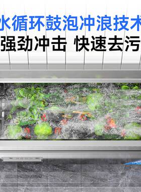 驰能多功能商用洗菜机全自动果蔬海产气泡臭氧清洗机净菜加工设备