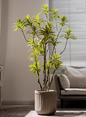 加密彷真绿色植物百合竹室内客厅大型落地摆件假树高级彷生植物树