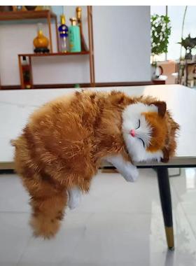 真毛仿真猫咪动物模型家居摆件创意装饰静态模型小猫玩偶摄影道具