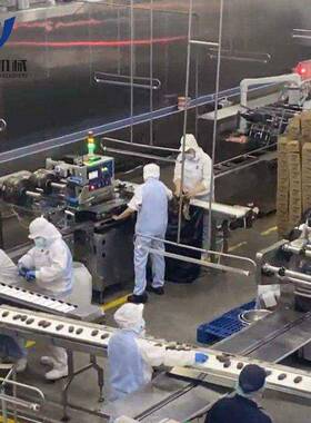 全套冰淇淋生产线设备 中小型雪糕加工设备 杯装插棍巧克力冰激凌