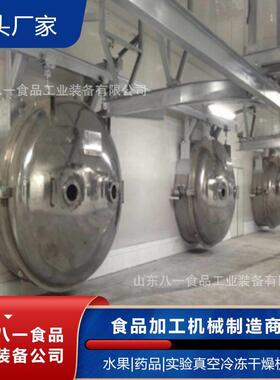 100平方果蔬真空冷冻干燥机实验室用冷冻干燥机医不锈钢低温