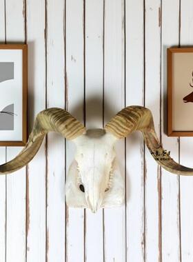 蒙古饭厅装饰木架镶钻羊头骨标本天然真羊头工艺礼品摆饰牛羊头挂