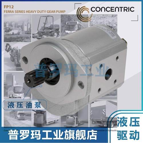 德国CONCENTRIC齿轮泵WP15A1B380R05DA146N WP15A1B440R05DA146N - 图2
