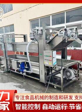 自动连续式贡菜加工流水线大型山野菜加工设备商用草莓气泡清洗机