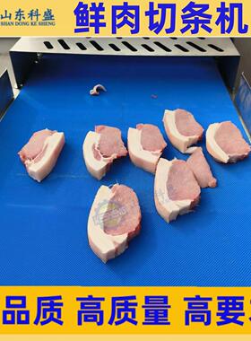 腊肉切条机 不锈钢变频调速墨鱼切条机 牛羊肉全自动分条机设备