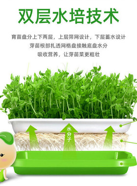 芽苗菜育苗盘带盖保湿加密网格蔬