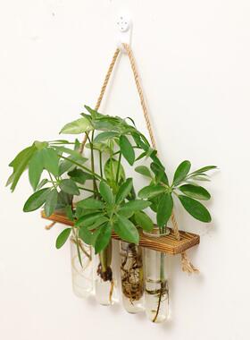 挂玻璃试管水绿色培896植花物墙面壁挂插花器家居公室悬园艺花