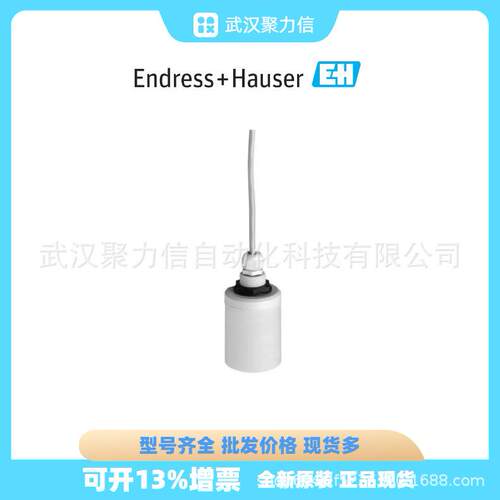恩德斯豪斯PMP51B-CJE5/0变送器PMP51B-BFBACBH6AA3PCA1VNJA1+VD - 图2