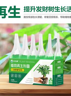 发财树植物再生剂花卉绿植室内大型发财树盆栽营养液包邮