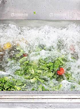 工厂直销翻转式果蔬清洗机全自动单杠翻斗净菜设备商用洗菜机
